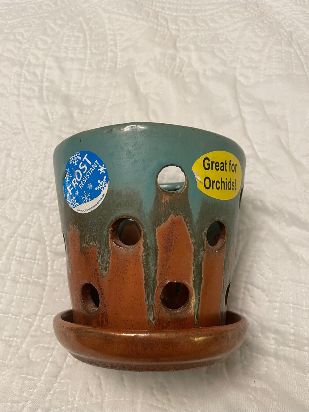 Allen + Roth Ceramic Planter Pot for Orchids or Succulents with Drainage Holes - Picture 10 of 11